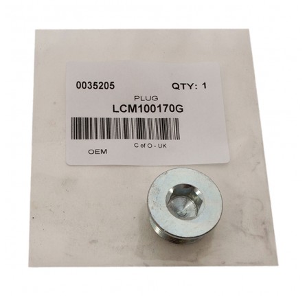 OEM Cylinder Head Plug