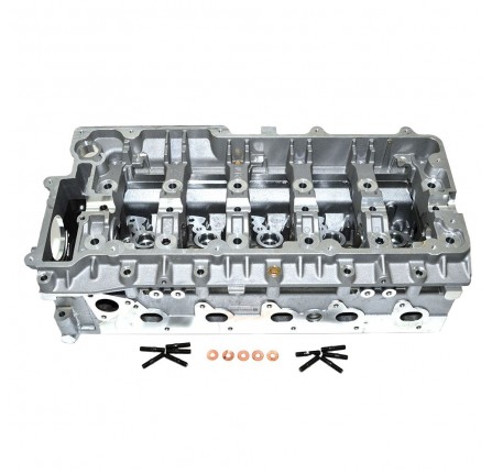 Cylinder Head with Valves TD5