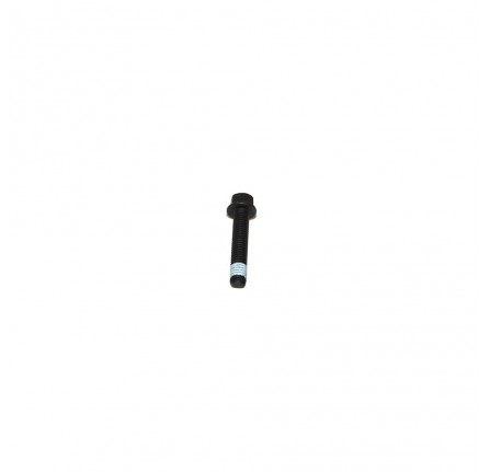 Bolt - Flanged H