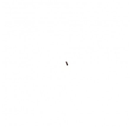 Retaining Spring Pin Hot Spot Diesel up to 1990