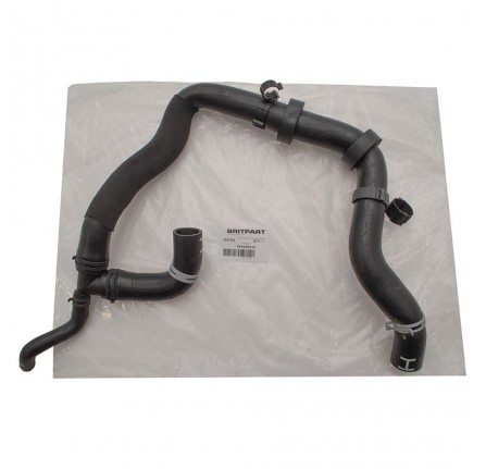 Thermostat to Coolant Pipe Hose