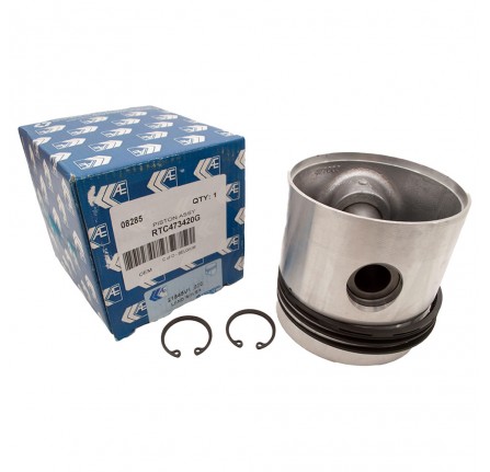 OEM Piston Assembly .020 2.5 Petrol