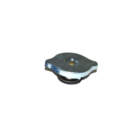 Expansion Cap 4 Cylinder to 1994 90/110 Normally Aspirated