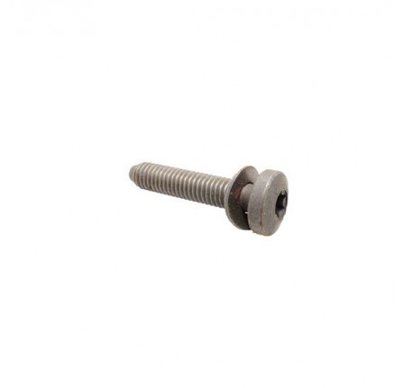 Screw 30mm Long