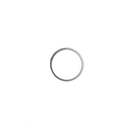 Seal Ring on Intermediate Plate Zf Autobox