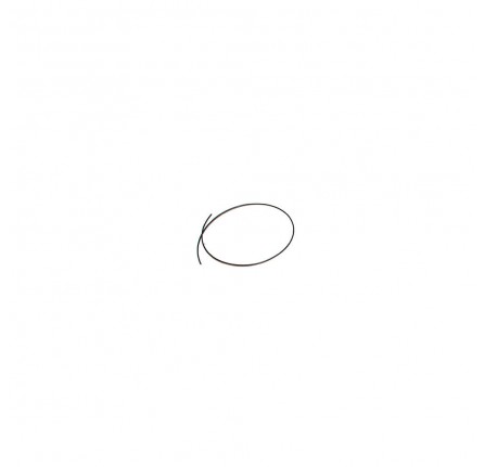 Snap Ring on Brake D Auto
