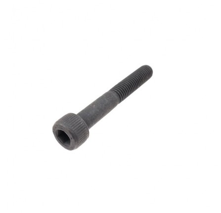 Screw M8 x 55mm