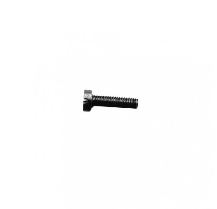 Screw