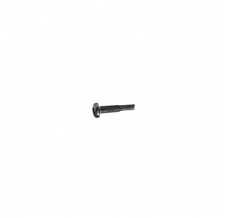 Genuine Screw for Door Lock Modification