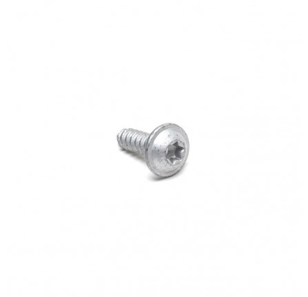 Screw 4.8 x 16 mm Torx