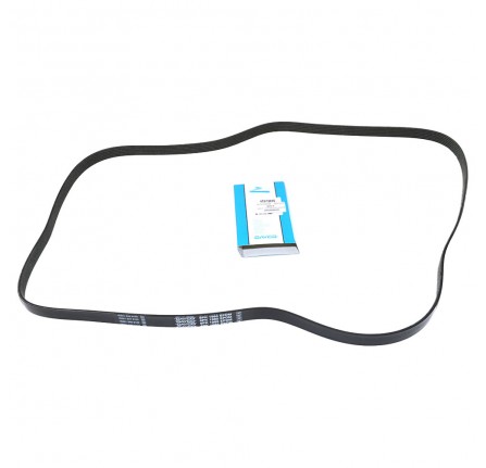 Belt - Accessory Drive