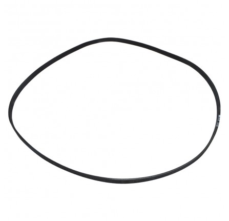 Auxillary Drive Belt 2.0L 16V
