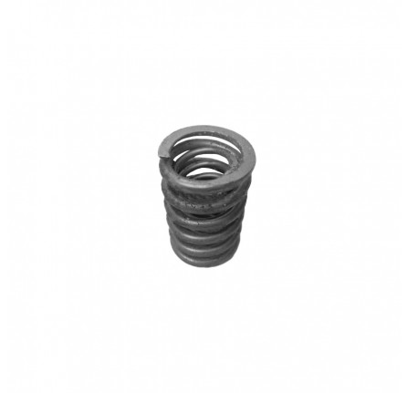 Valve Spring Inlet 2.6 Litre.