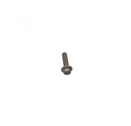 Genuine Screw for Fuel Manifold Clamp Diesel