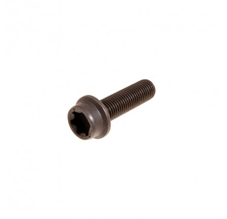 Flange Bolt M12 Timing Gear 4.2 and 4.4 V8 Petrol