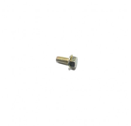Genuine Timing Gear Bolt M8 x 18mm 2.7 V6 Diesel