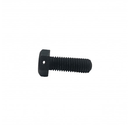 Genuine Reverse Lever Pivot Bolt LT95