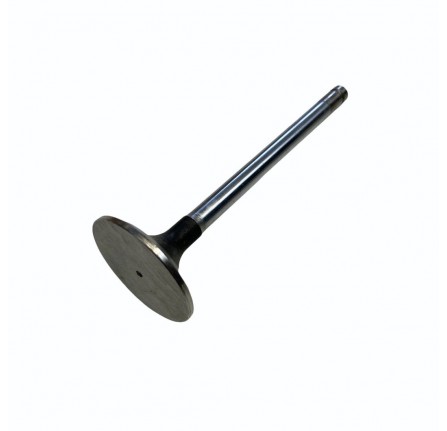 Genuine Inlet Valve 2.4 Diesel Range Rover