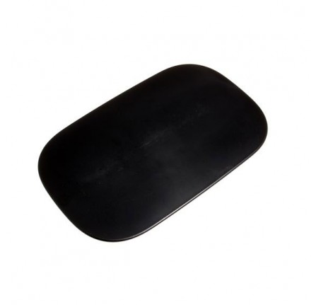 Fuel Tank Filler Access Door Panel