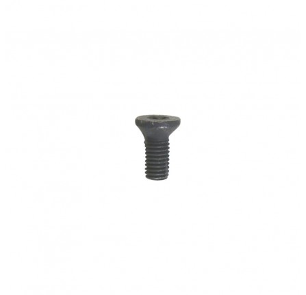 Genuine Screw Upper Tailgate Striker