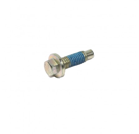 OEM Screw