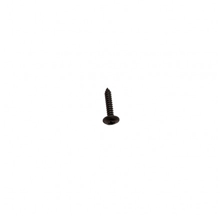 Screw Flanged Head 4.8mm Self Tapping Torx