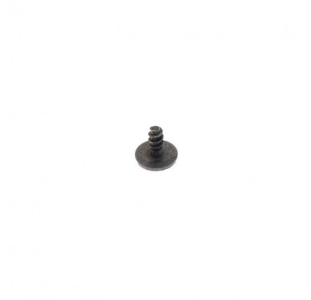 Screw 4mm Torx Weatherstrip
