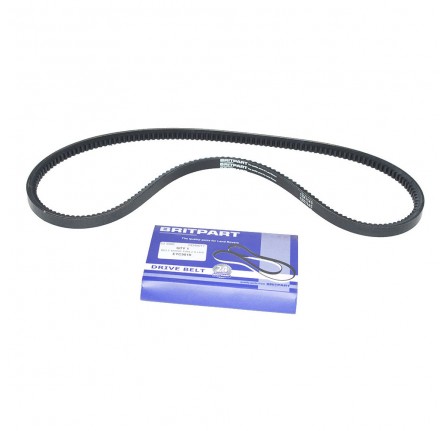 Alternator Belt 2.4 VM