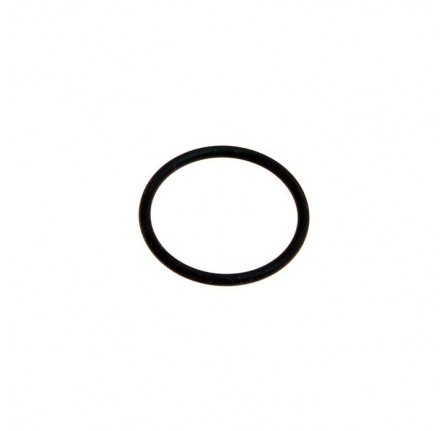 Oil Adaptor Seal