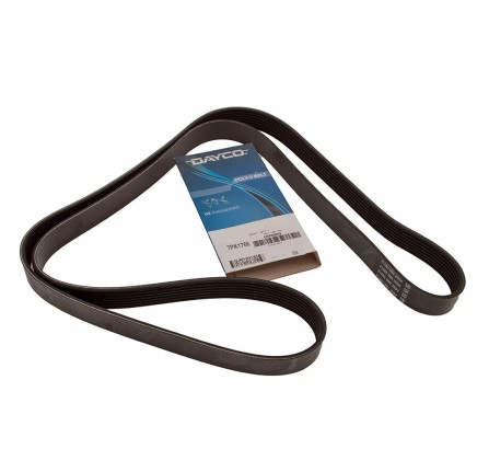 Dayco Alternator Belt Discovery 2 V8 without Ace and without Air Con
