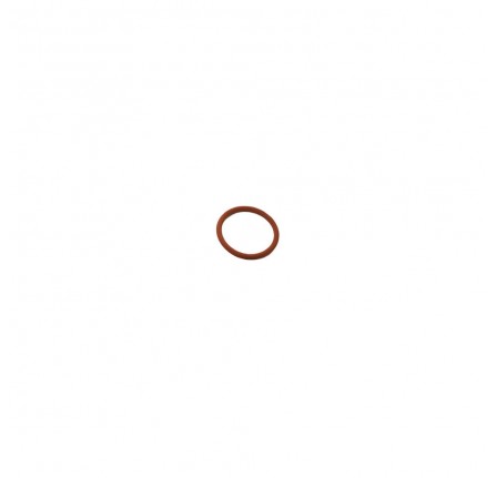 Genuine O Ring Injector TD5