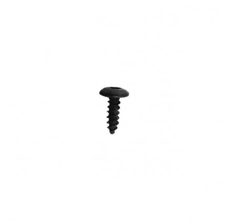 Genuine Screw Torx Pan Head for Pocket in Headlining