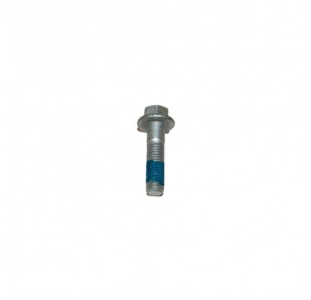 Bolt M10 x 40 for Timing Tensioner 2 Litre Tcie