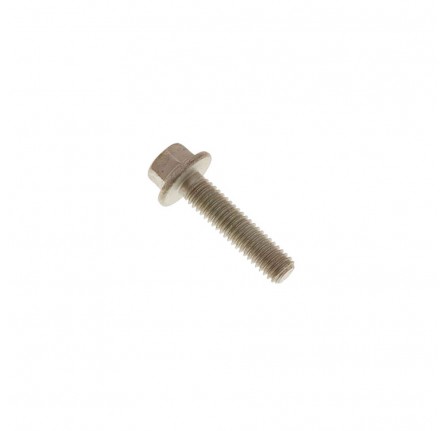 Genuine Bolt Flanged Hex M6 x 25mm