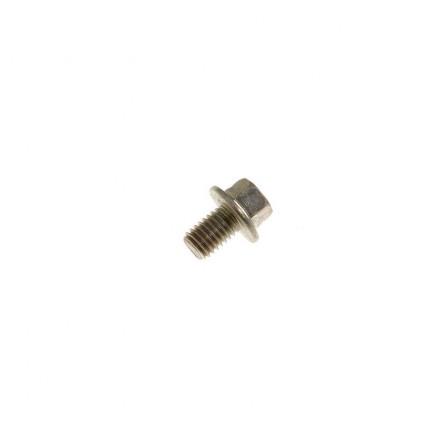 Screw Flanged Head M8 x 12