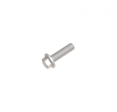 Genuine Rear Antiroll Bar Clamp Bolt