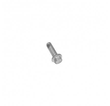 Genuine Flanged Head Screw Rear Diff Mount
