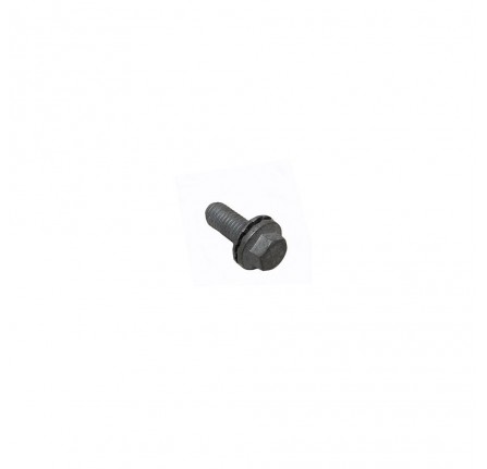 Bolt M10 x 25mm Engine Shield