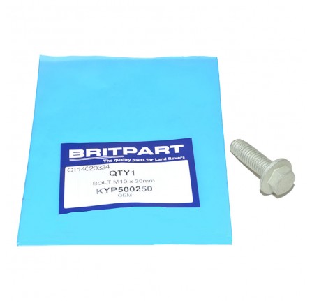 OEM Bolt M10 x 30mm