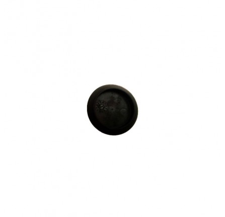 Genuine Converter Access Plug