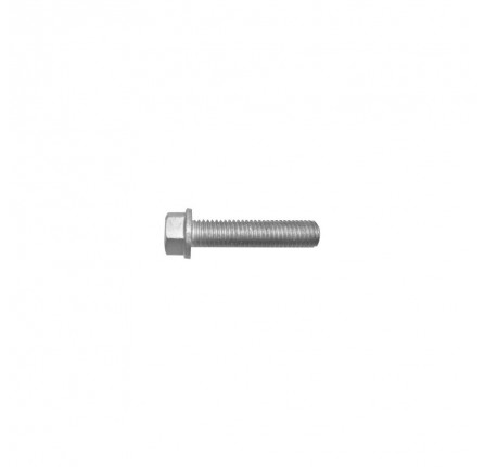 Genuine Bolt M10 x 45
