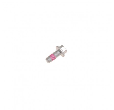 Genuine Bolt - Hex.head Rear Caliper