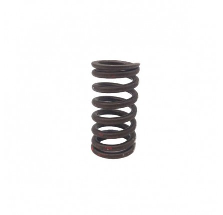 Cylinder Head Valve Spring