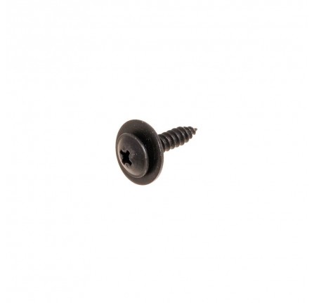 Genuine Screw and Washer 4.8 x 20mm