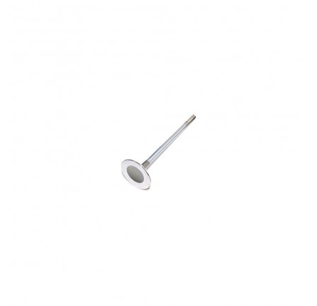 4.4 V8 EFI Inlet Valve