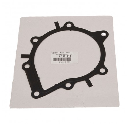 Gasket Water Pump 2.2L Diesel
