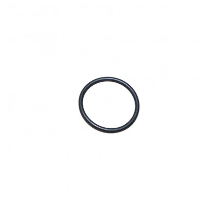 O Ring for Thermostat 3.6 V8