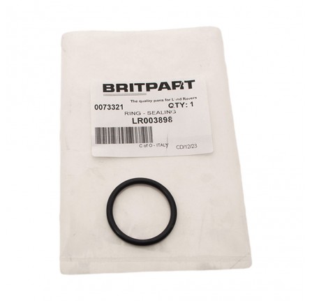 Egr Sealing Ring (31.03 x 3.5) 3.6 V8 32V