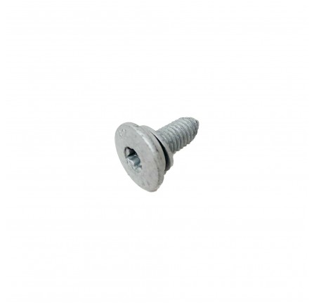 Genuine M6 x 15mm Screw for Door Mirror