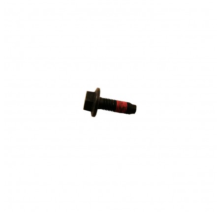 Bolt M12 x 1.5 x 35mm for Rear Timing Pulley 2.6 V6